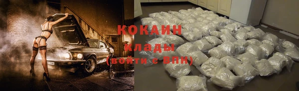крисы Гусев