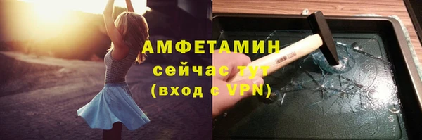прущие грибы Вязники