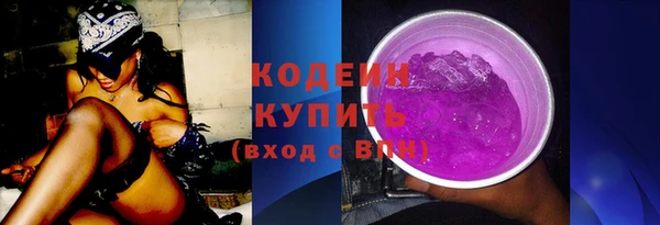 прущие грибы Вязники