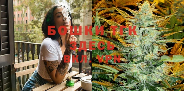 прущие грибы Вязники