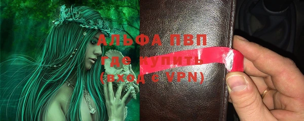 крисы Гусев