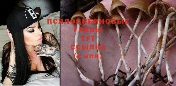 МДМА Строитель