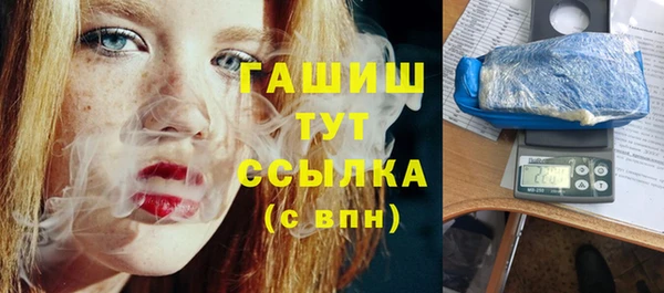 скорость Вяземский