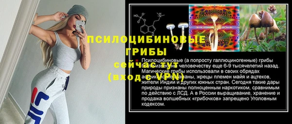 скорость Вяземский