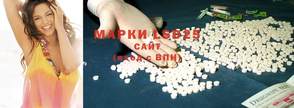 прущие грибы Вязники
