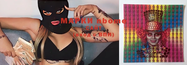 прущие грибы Вязники