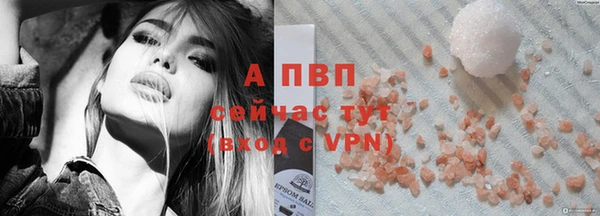 скорость Вяземский