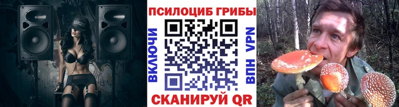 Галлюциногенные грибы Psilocybe  маркетплейс какой сайт  hydra как зайти  Жердевка  как найти закладки 